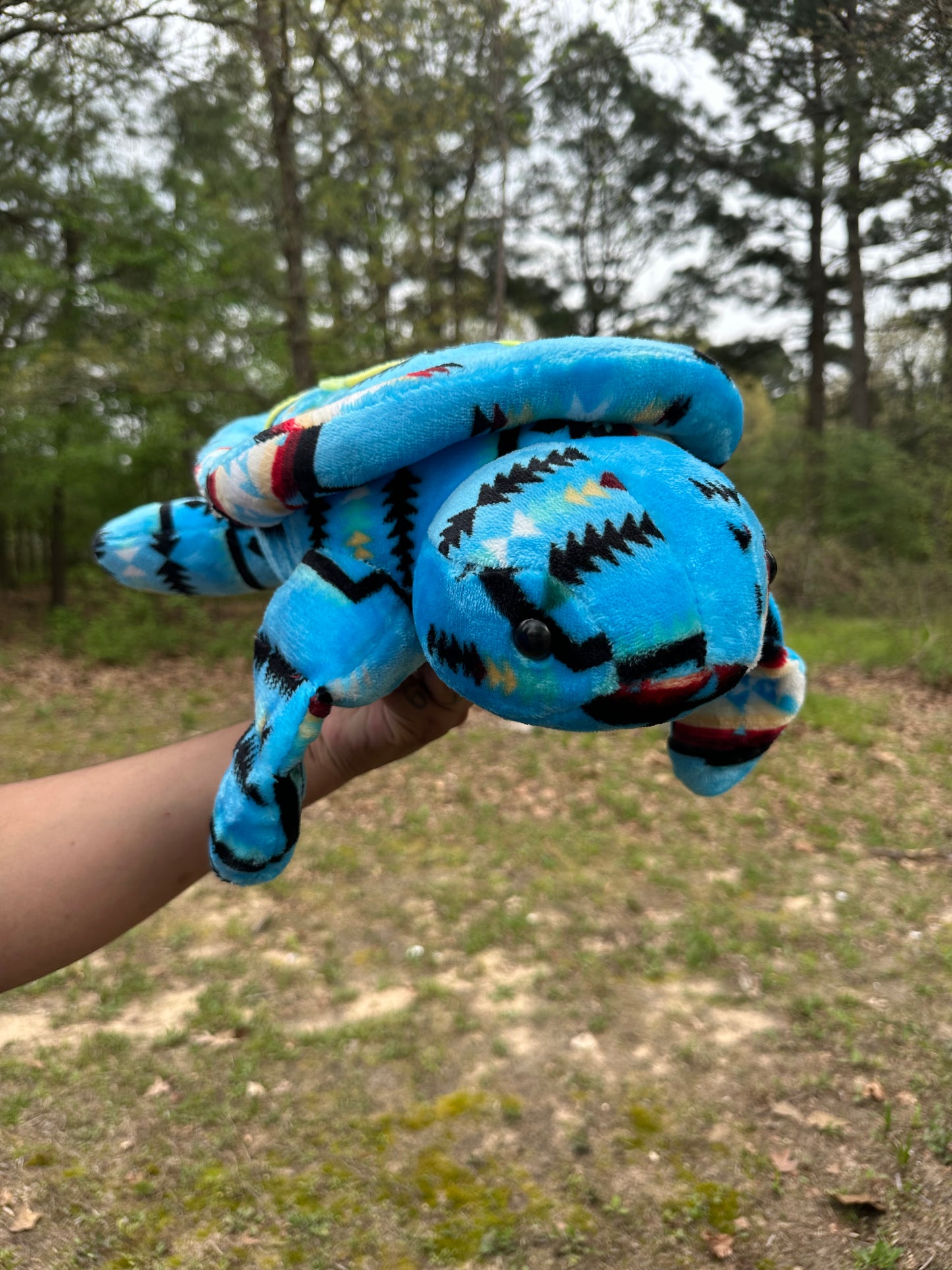 Large Turtles