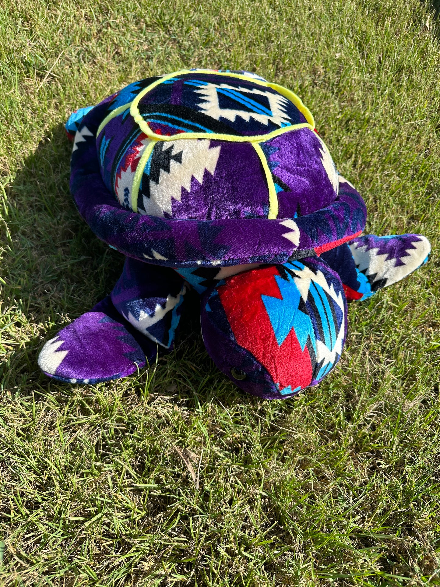 XL Turtles Multi-Color