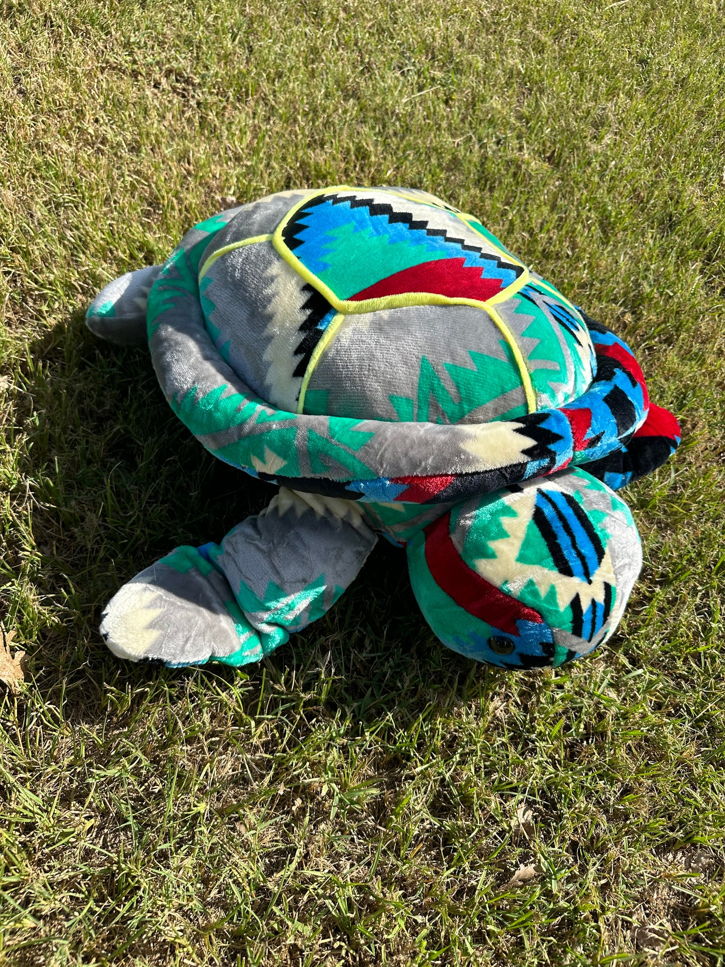 XL Turtles Multi-Color