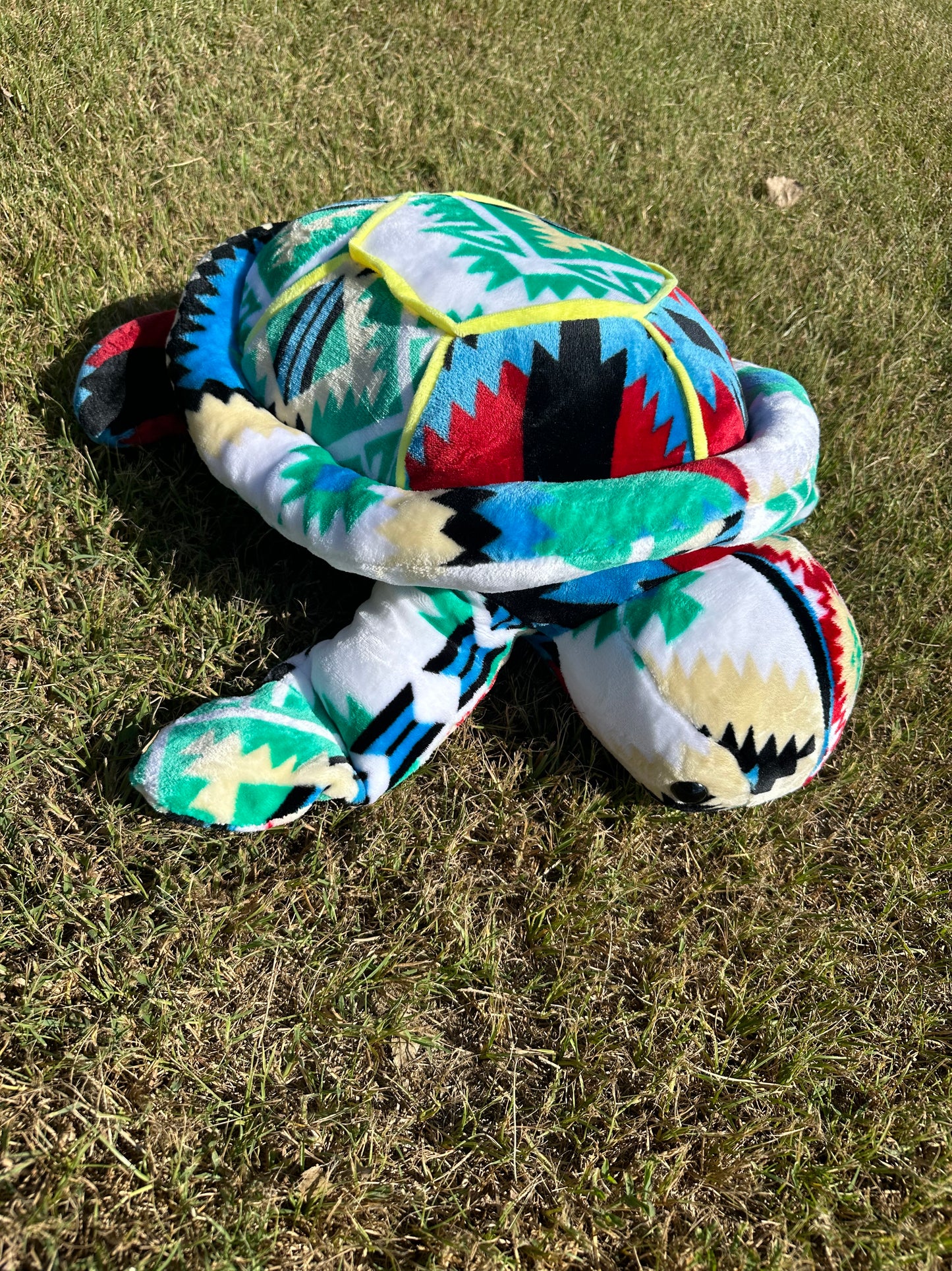 XL Turtles Multi-Color