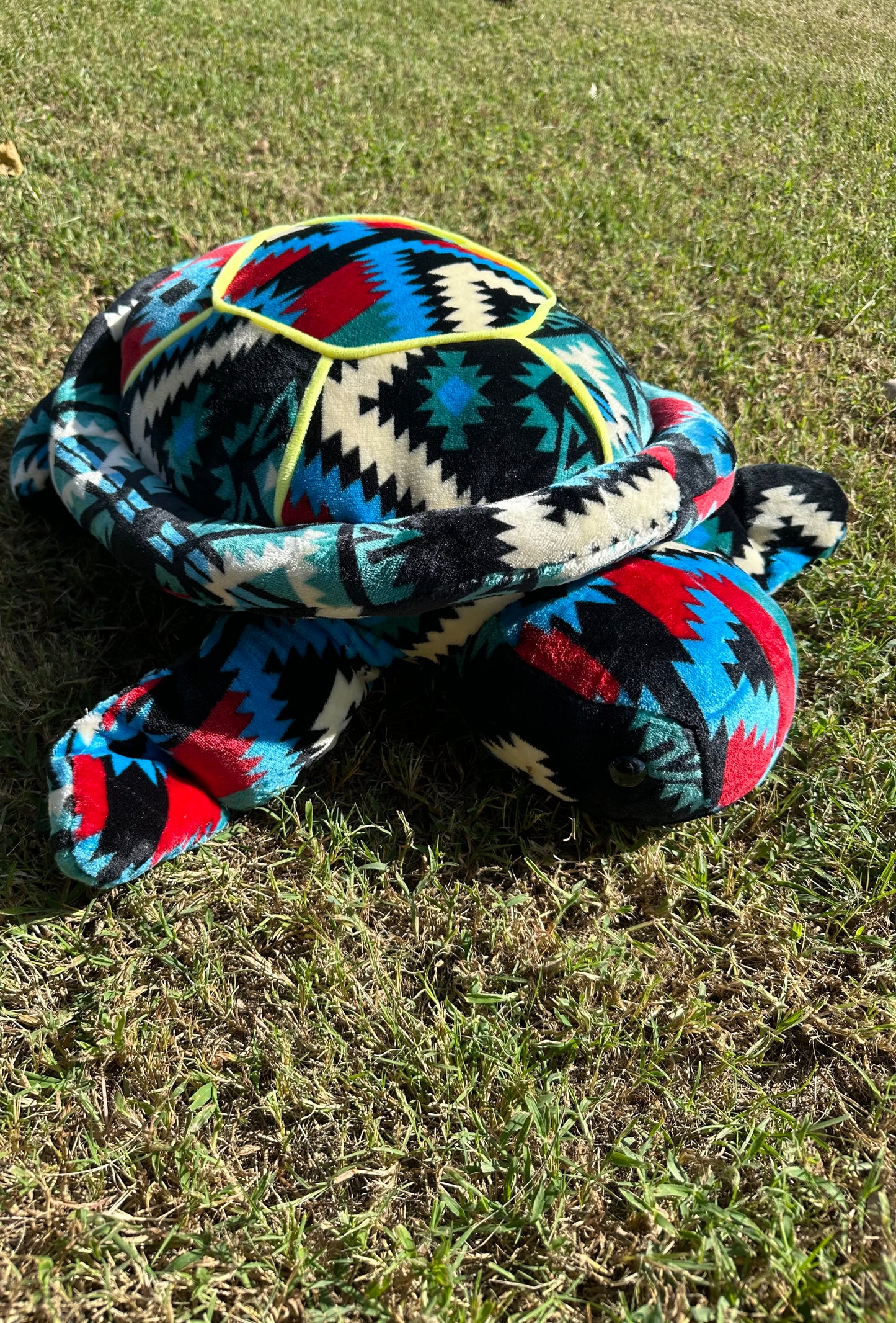 XL Turtles Multi-Color